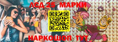 гидропоника Будённовск