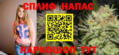 гидропоника Будённовск