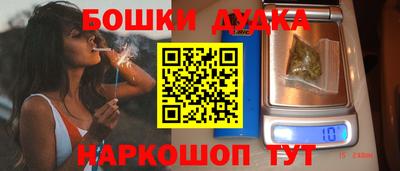 гидропоника Будённовск