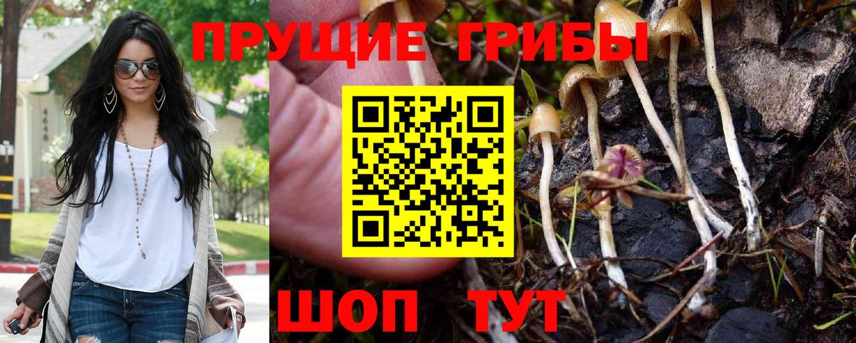 Псилоцибиновые грибы Psilocybe  Псилоцибиновые грибы GOLDEN TEACHER  Вход с VPN  Аксай 