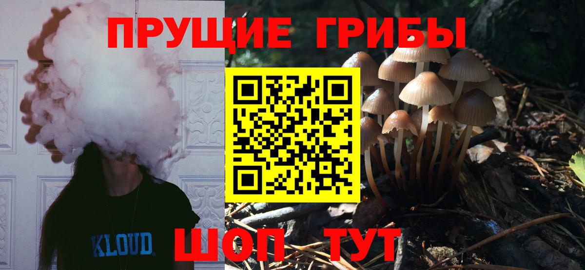 Псилоцибиновые грибы Psilocybine cubensis Аксай